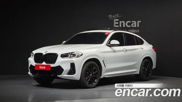 BMW X4 (G02) xDrive20i M