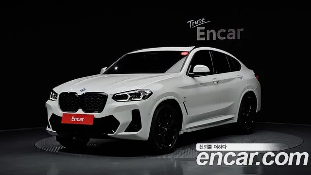 BMW X4 (G02) xDrive20i M