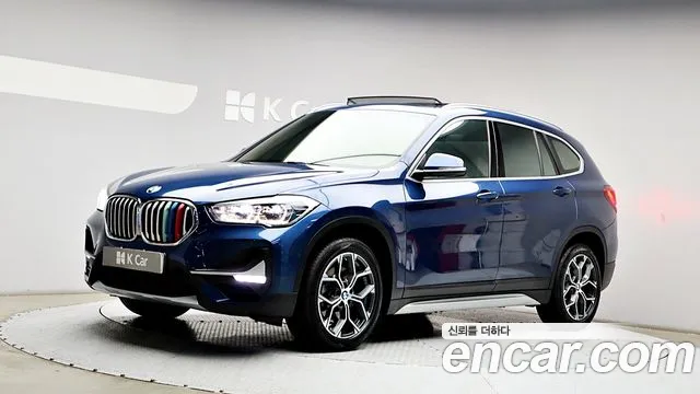 BMW X1 (F48) xDrive 20i xLine
