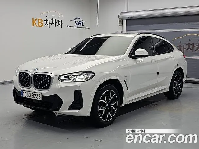 BMW X4 (G02) xDrive20i M