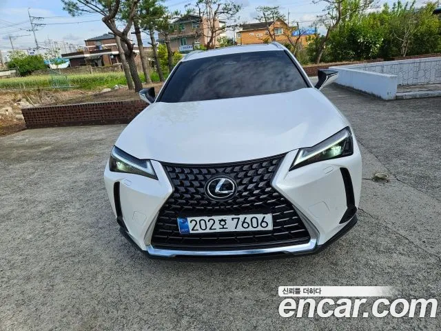 Lexus UX300 h 2.0 2 WD