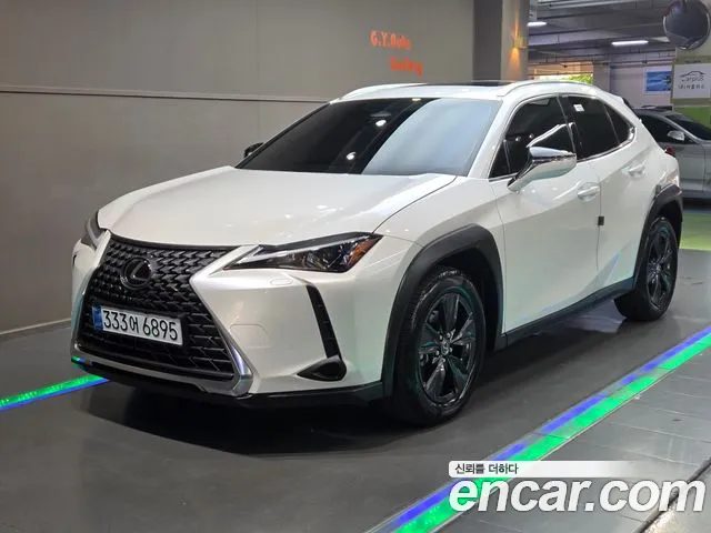 Lexus UX300 h 2.0 2 WD