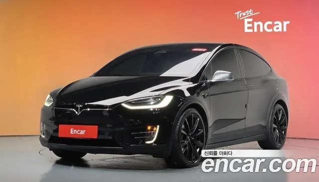 Tesla Model X 100 D