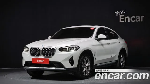 BMW X4 (G02) xDrive20i xLine
