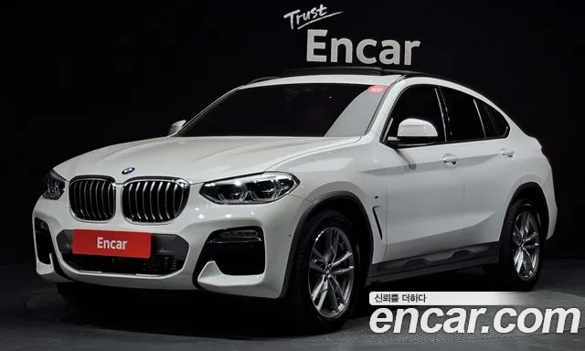 BMW X4 (G02) xDrive20d M X