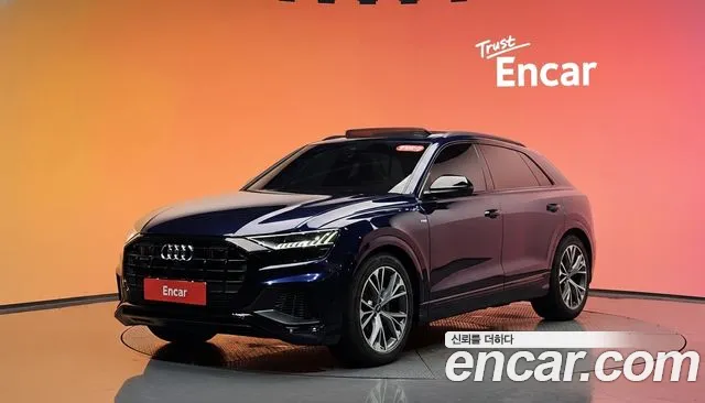 Audi Q8 (4M) 55 TFSI Premium