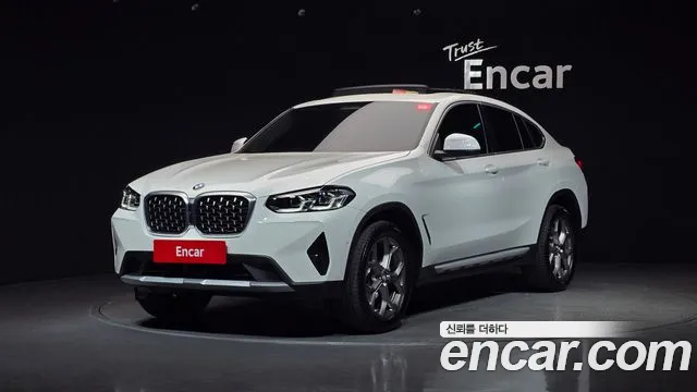 BMW X4 (G02) xDrive20i xLine