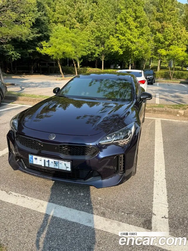 Kia Stinger 3.3 Turbo 2WD GT