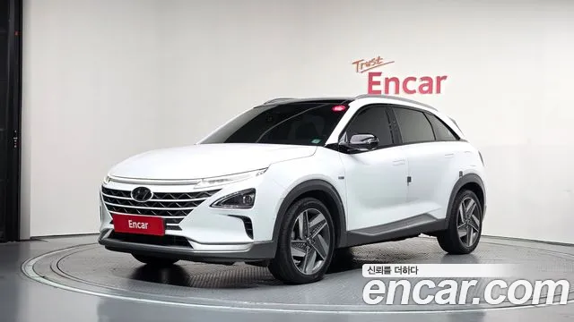 Hyundai Nexo Premium