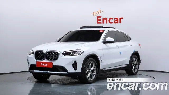 BMW X4 (G02) xDrive20i xLine