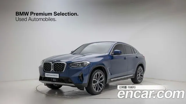 BMW X4 (G02) xDrive20i xLine