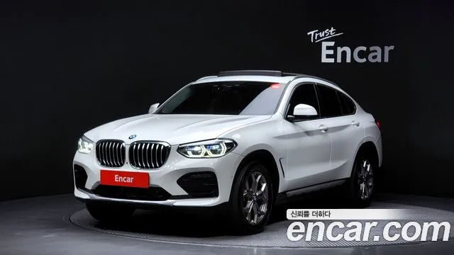 BMW X4 (G02) xDrive20i xLine