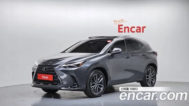 Lexus NX350h 2