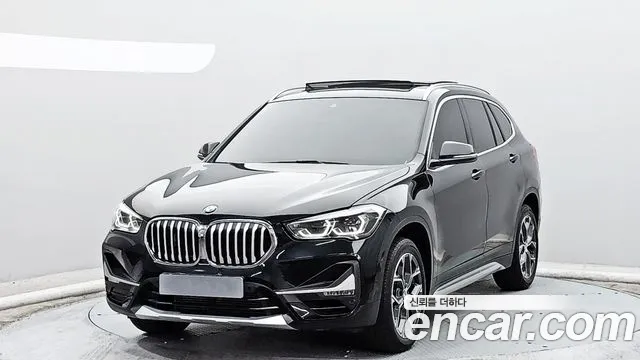 BMW X1 (F48) xDrive 20i xLine