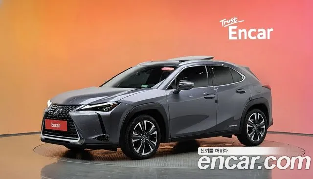 Lexus UX250h 2.0 AWD