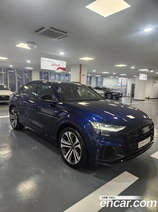 Audi Q8 (4M) 55 TFSI Premium
