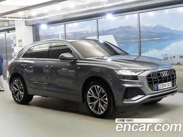 Audi Q8 (4M) 50 TDI Premium