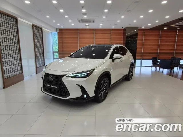Lexus NX350h 2