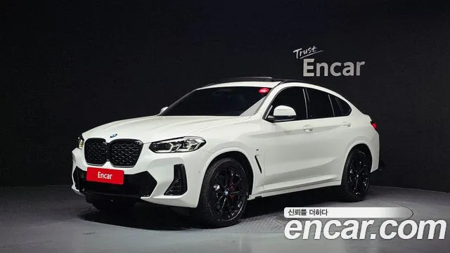 BMW X4 (G02) xDrive20i M