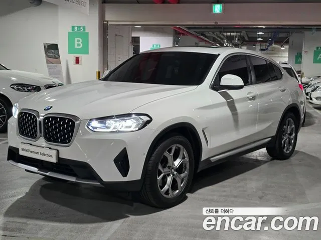 BMW X4 (G02) xDrive20d xLine