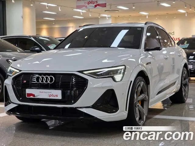 Audi e- S