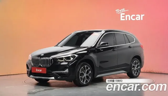 BMW X1 (F48) xDrive 20i xLine