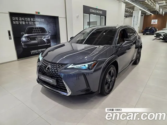 Lexus UX300 h 2.0 2 WD