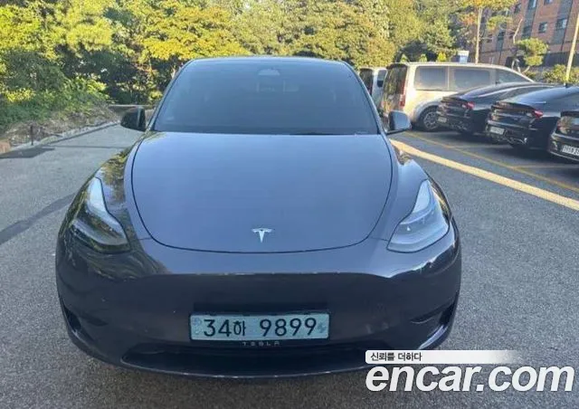 Tesla Model Y RWD