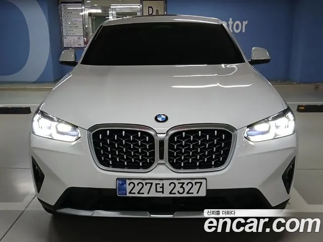 BMW X4 (G02) xDrive20i xLine