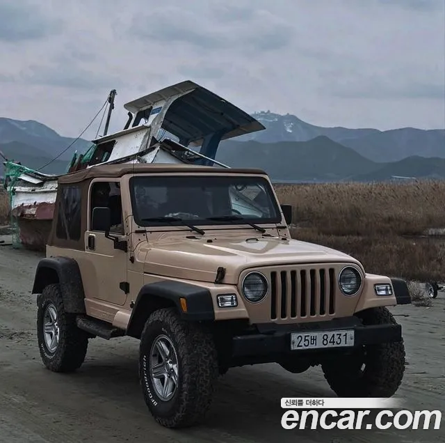 Jeep Wrangler (TJ) 4.0