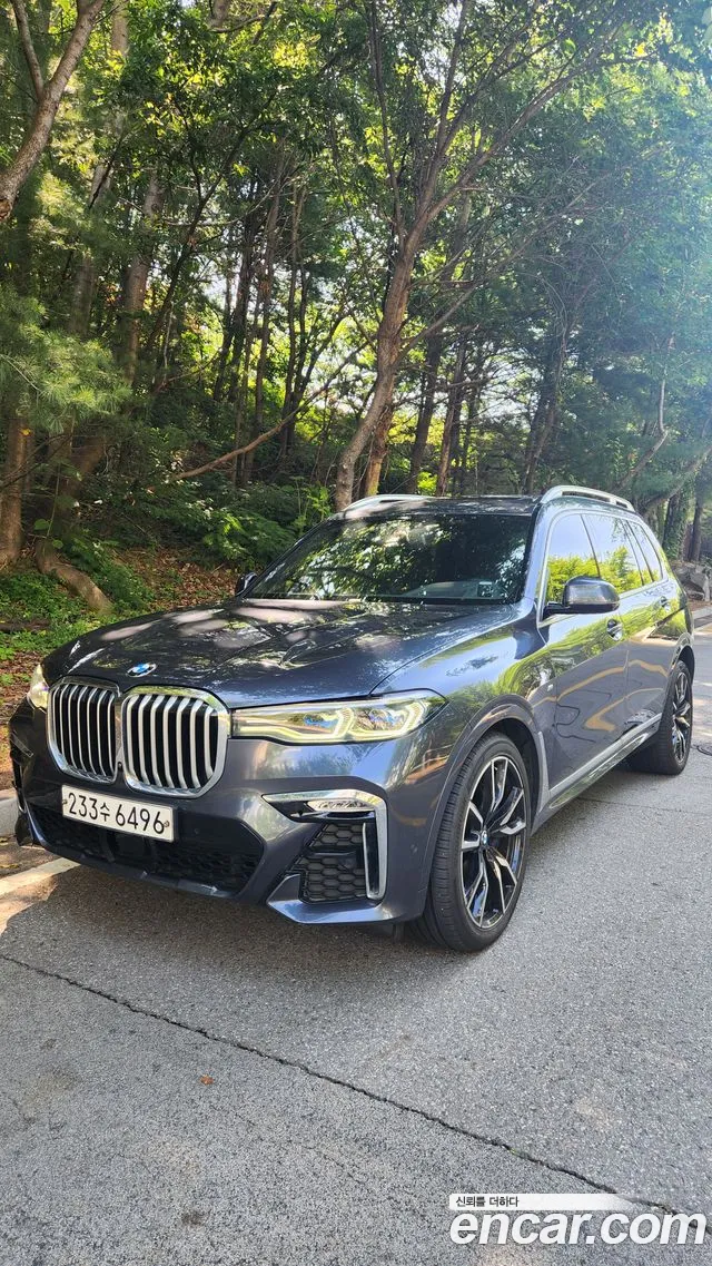 BMW X7 (G07) xDrive 30d M 6