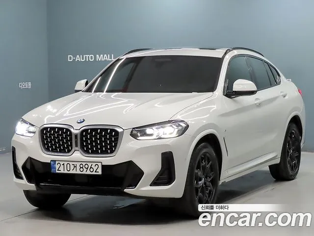 BMW X4 (G02) xDrive20i M