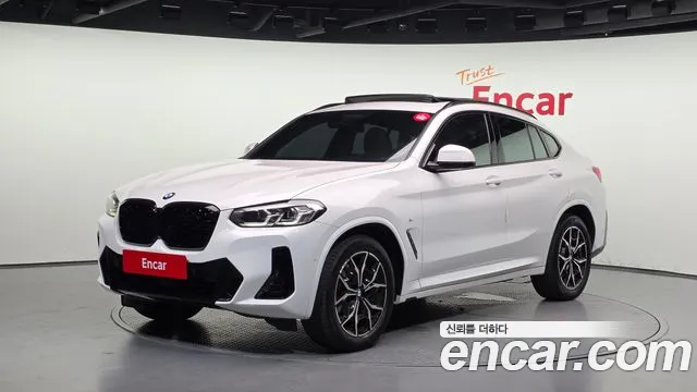 BMW X4 (G02) xDrive20i M