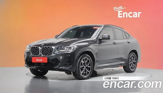 BMW X4 (G02) xDrive20i M
