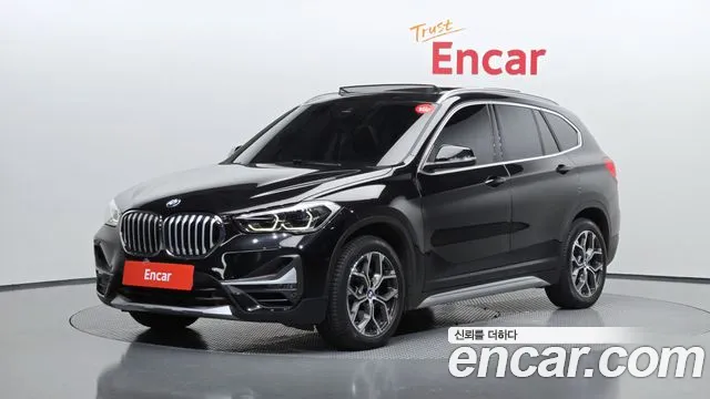 BMW X1 (F48) xDrive 20i xLine