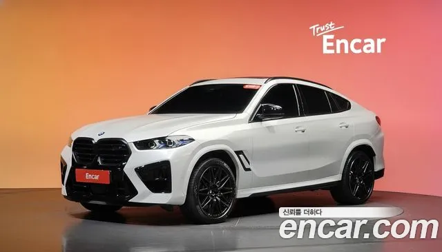 BMW X6M (G06) 4.4