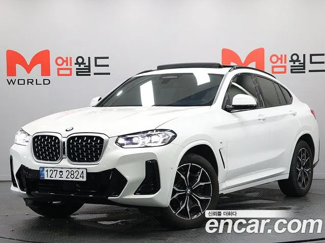 BMW X4 (G02) xDrive20i M