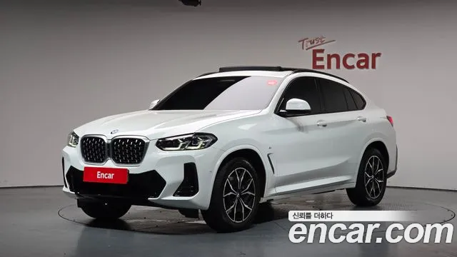 BMW X4 (G02) xDrive20i M