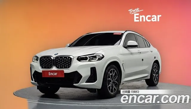 BMW X4 (G02) xDrive20i M