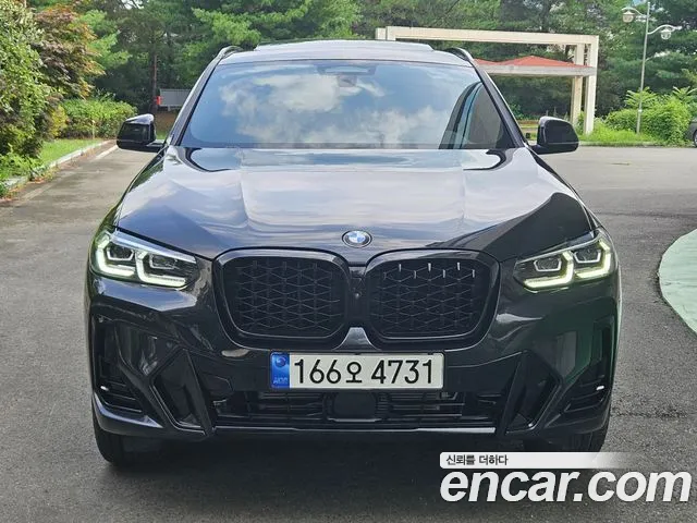 BMW X4 (G02) xDrive20i