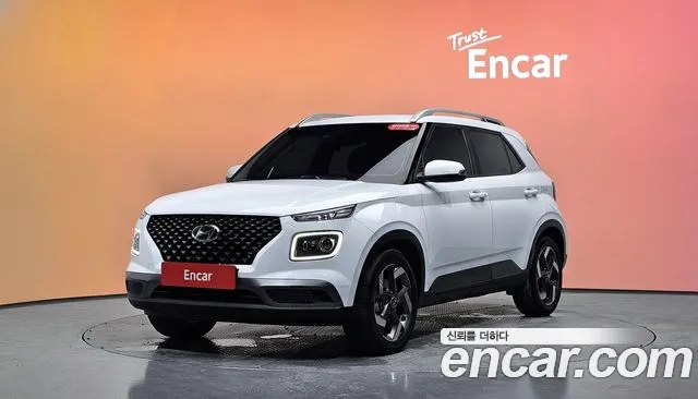 Hyundai 1.6