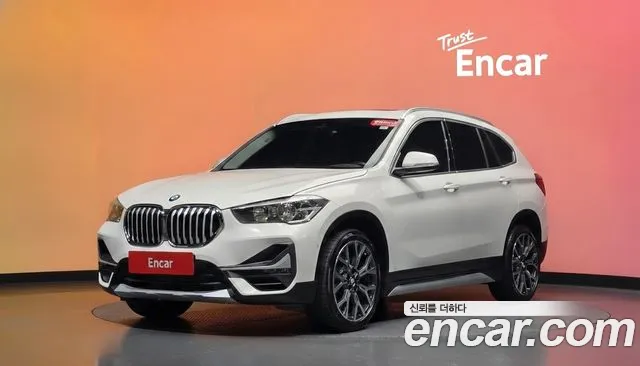 BMW X1 (F48) xDrive 20i xLine