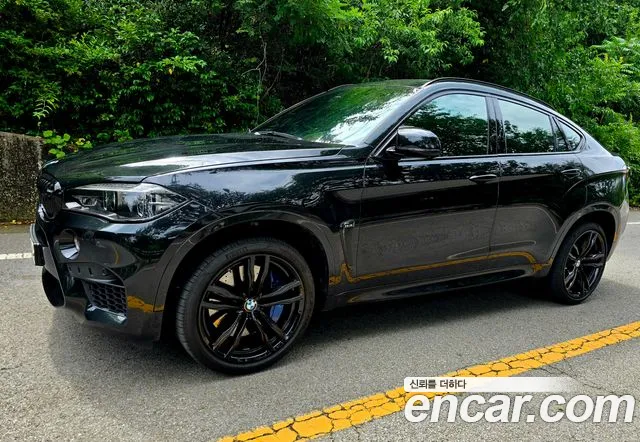 BMW X6M (F16) 4.4