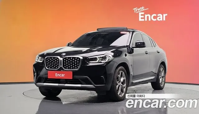 BMW X4 (G02) xDrive20d xLine