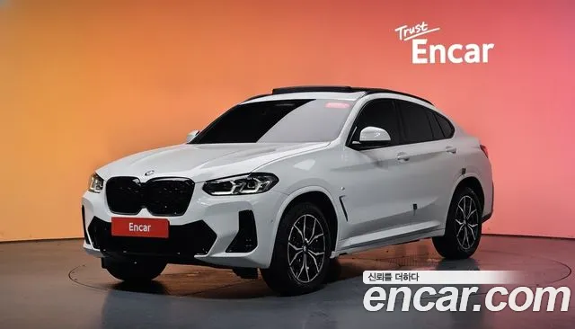 BMW X4 (G02) xDrive20i M