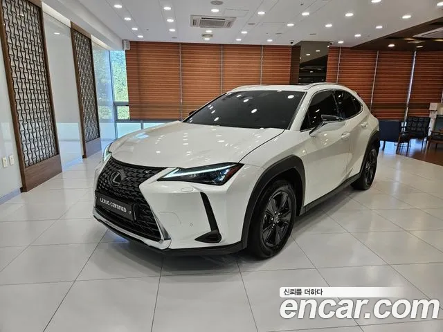 Lexus UX300 h 2.0 2 WD