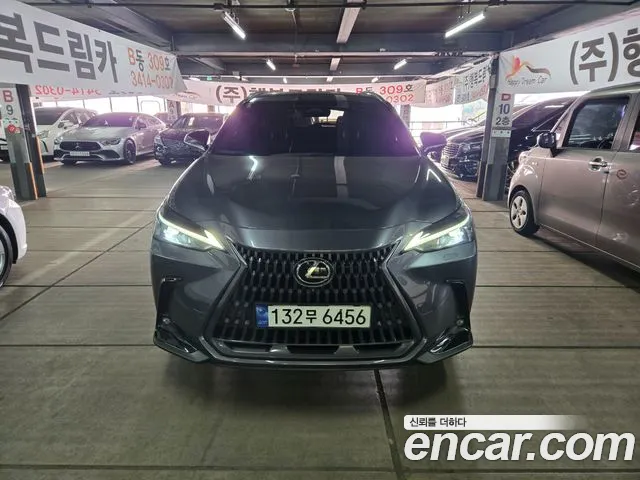 Lexus NX450 h+ 2 generation Premium