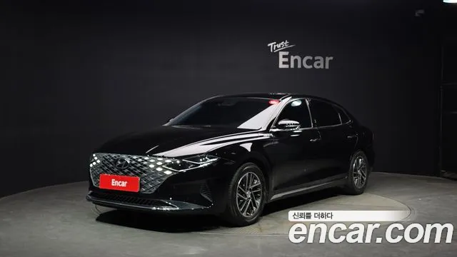 Hyundai The New Grandeur IG 3.0 LPi