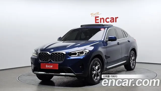 BMW X4 (G02) xDrive20i xLine