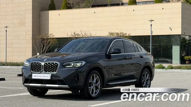 BMW X4 (G02) xDrive20i xLine
